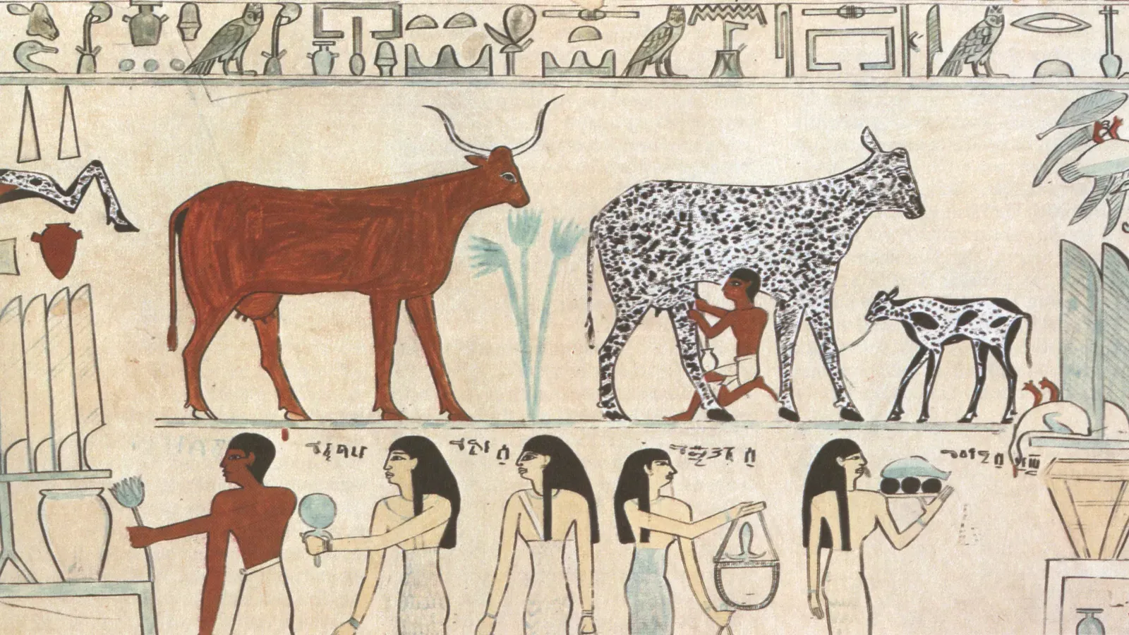 Egypt: Where Animals Were Literally Divine (Image Credits: Wikimedia)