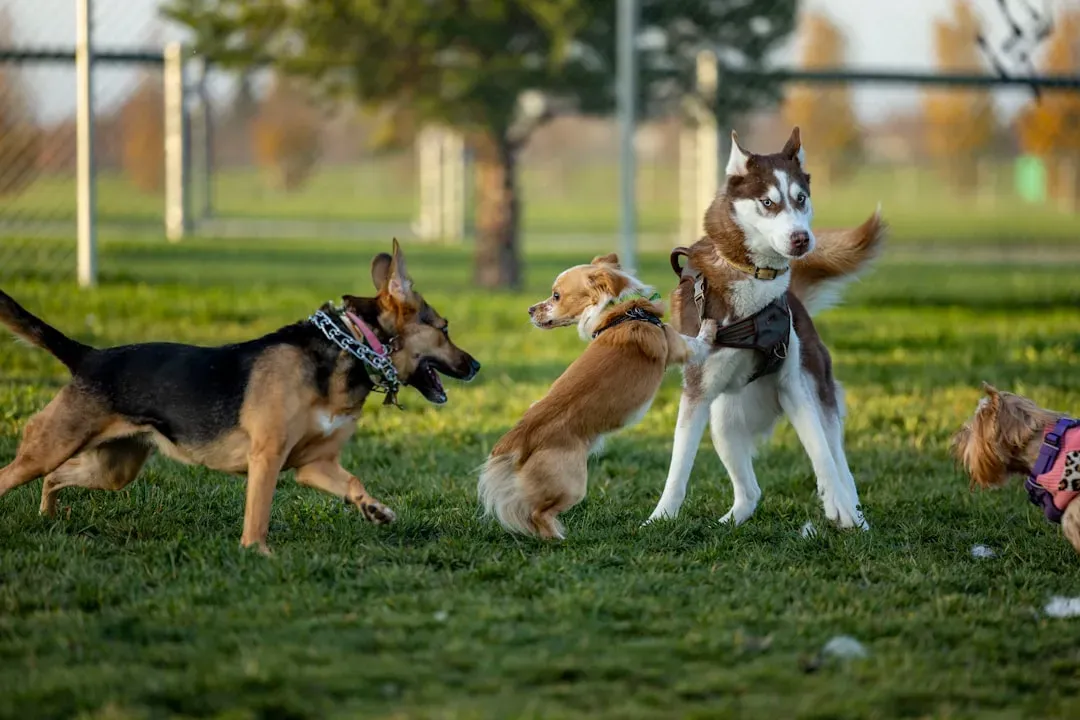 Protect Yourself If Attack Becomes Unavoidable (Image Credits: Unsplash)