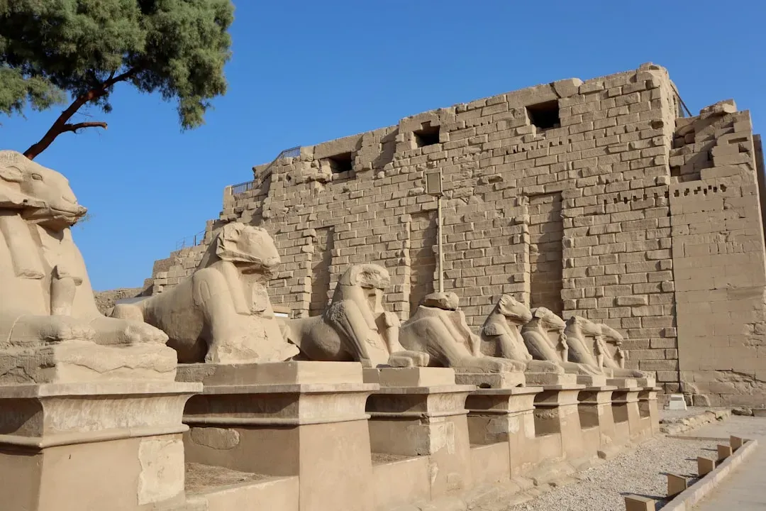 Conclusion: The Desert Was Never the Beginning of the Story (Image Credits: Unsplash)
