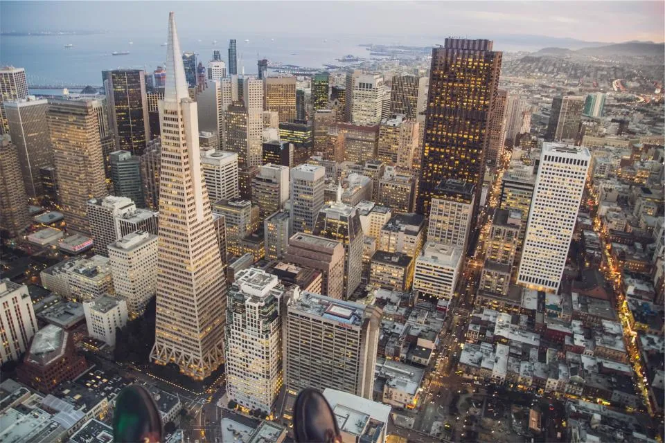 Why Rooftops? The Appeal of Urban Perches (Image Credits: Stocksnap)
