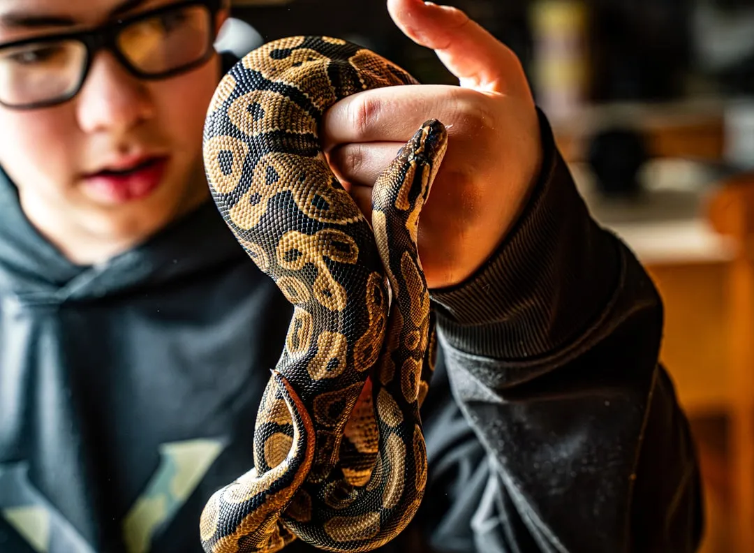 #5 - Large Pythons and Boas: Calm for One, Chaos for Others (Image Credits: Unsplash)