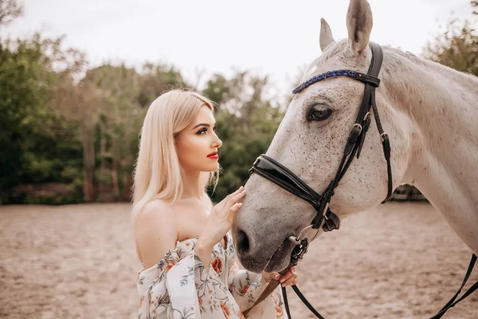 6. Friesians and Baroque Breeds: Dramatic, Sensitive, and Easily Overwhelmed (Image Credits: Pexels)