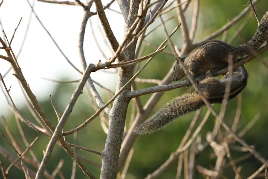 #6: They Are the Most Common Squirrel in North America - and Almost Nobody Sees Them (Image Credits: Pexels)
