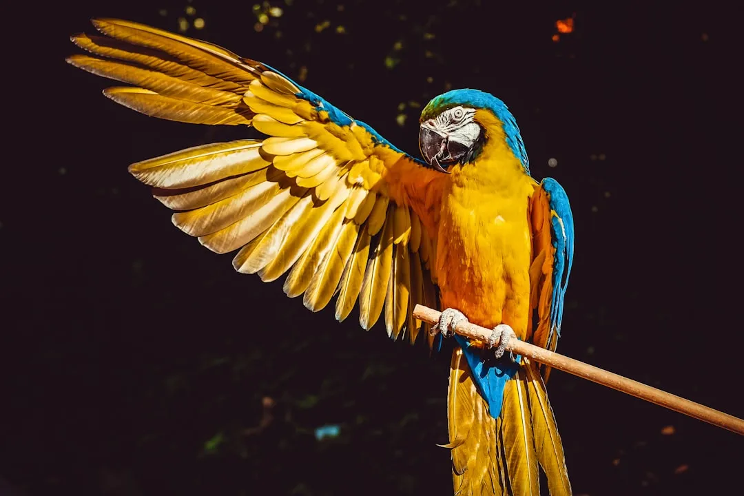 Final thoughts (Image Credits: Unsplash)