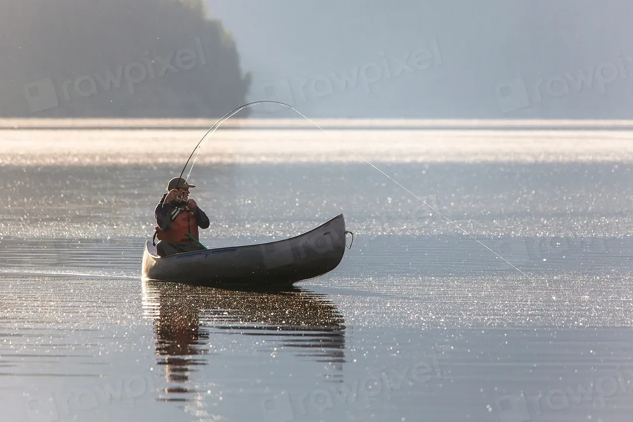 1. Santee Cooper Lakes, South Carolina: The Freshwater Legend Nobody Talks About Enough (Image Credits: Rawpixel)