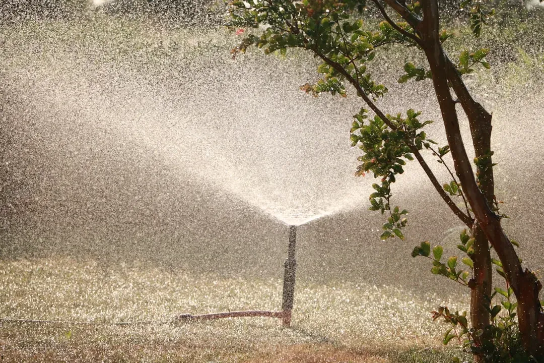 #2: Use Motion-Activated Sprinklers (Image Credits: Unsplash)