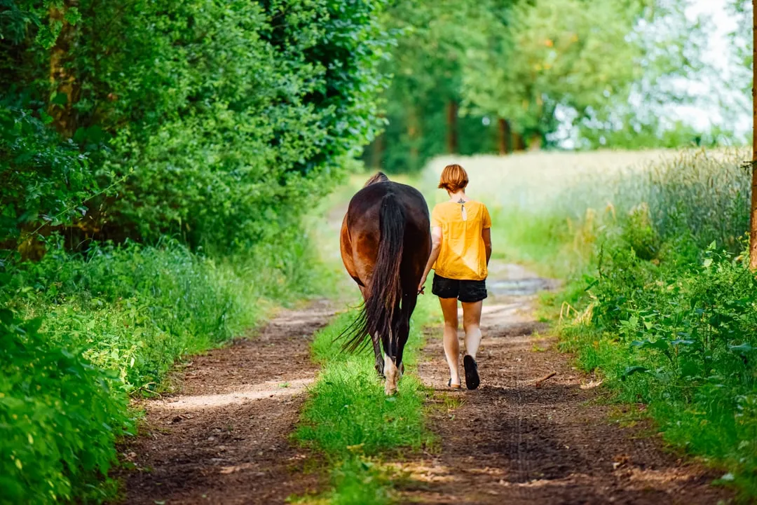 15. The Slow, Reluctant Walk to the Gate (Image Credits: Unsplash)