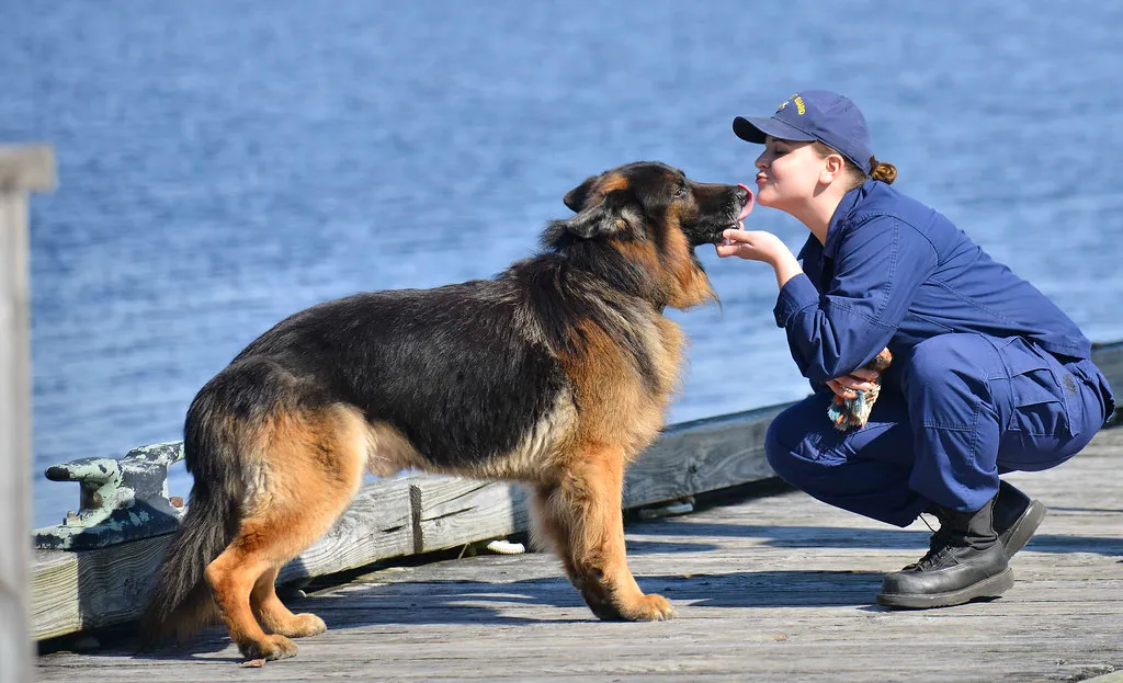 #13 - Kids and Dogs Are a High-Risk Combo, Not a Cute Default (Image Credits: Flickr)