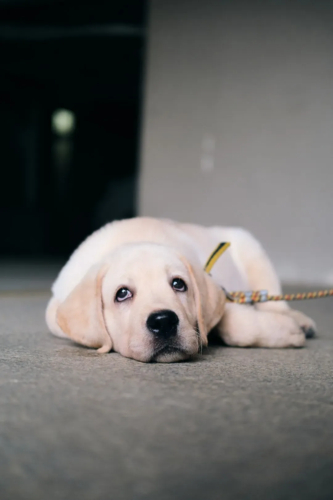 The Danger of Overdoing It (Image Credits: Unsplash)
