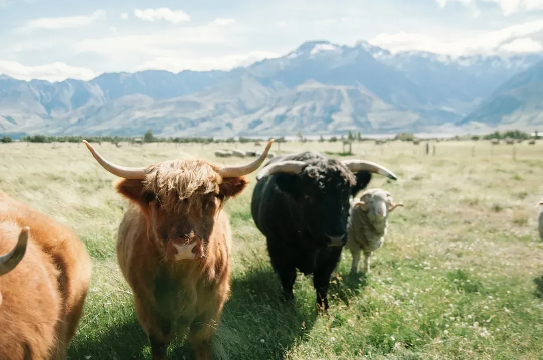 Oklahoma: The Southern Plains Stronghold (Image Credits: Unsplash)