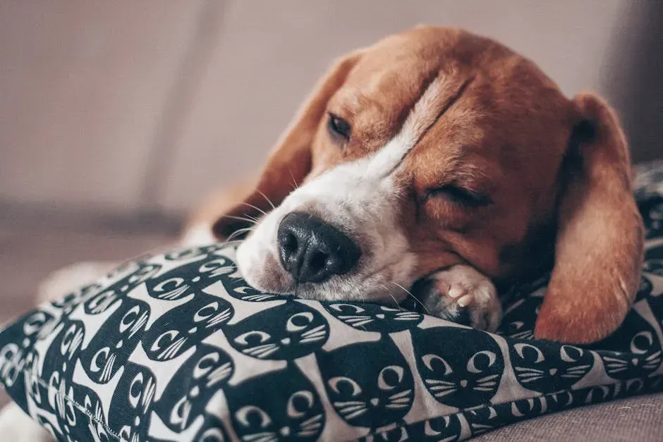 Beagle (Image Credits: Pexels)