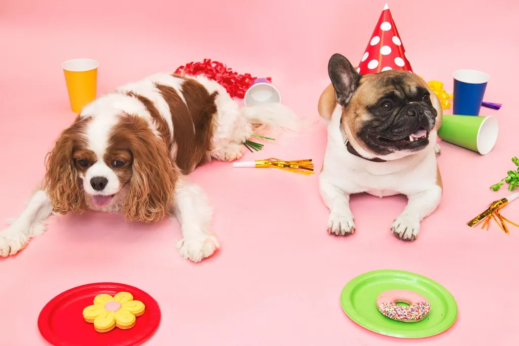 3. Celebrating Doggie Milestones (Image Credits: Rawpixel)