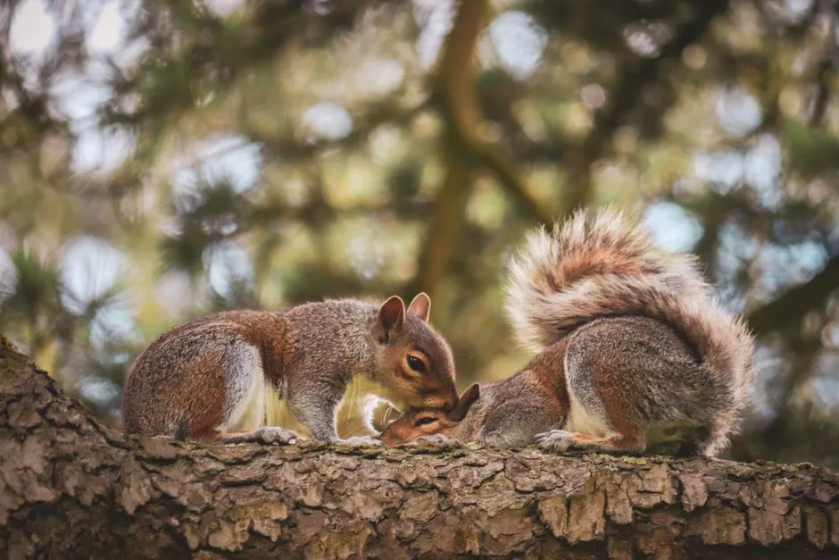 The Soft "Muk-Muk": Mating Calls (Image Credits: Pexels)