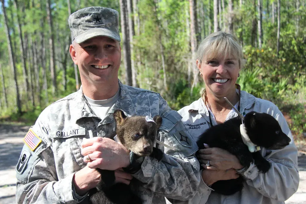 Florida: Corridor Conservation in Action (Image Credits: Flickr)