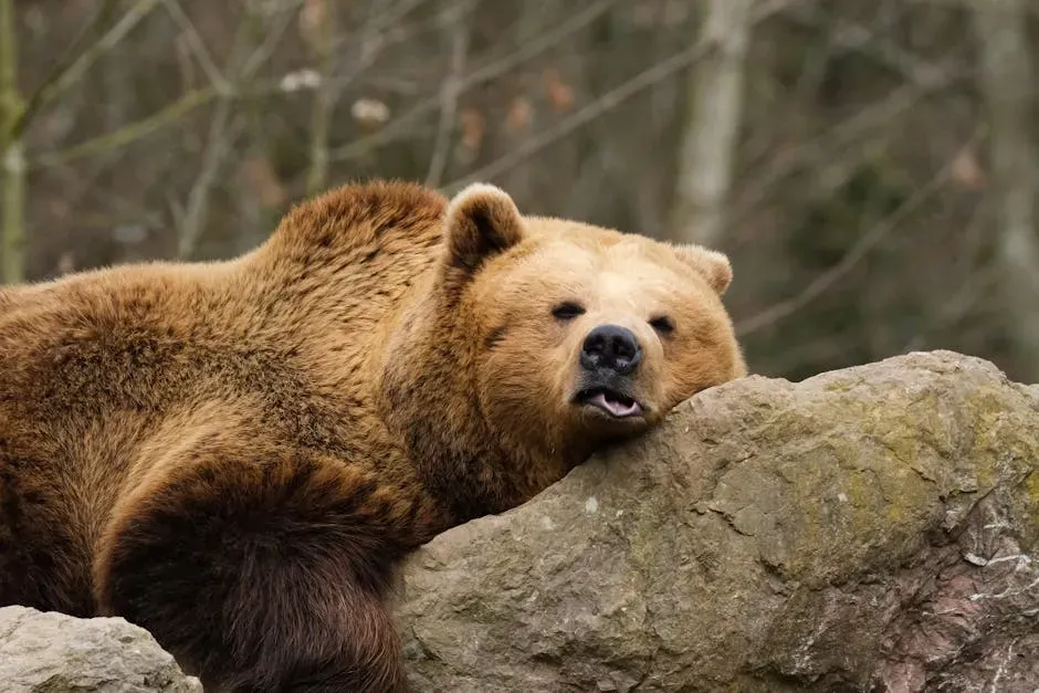 10. True Hibernators and the Art of Near-Death Dormancy (Image Credits: Pexels)
