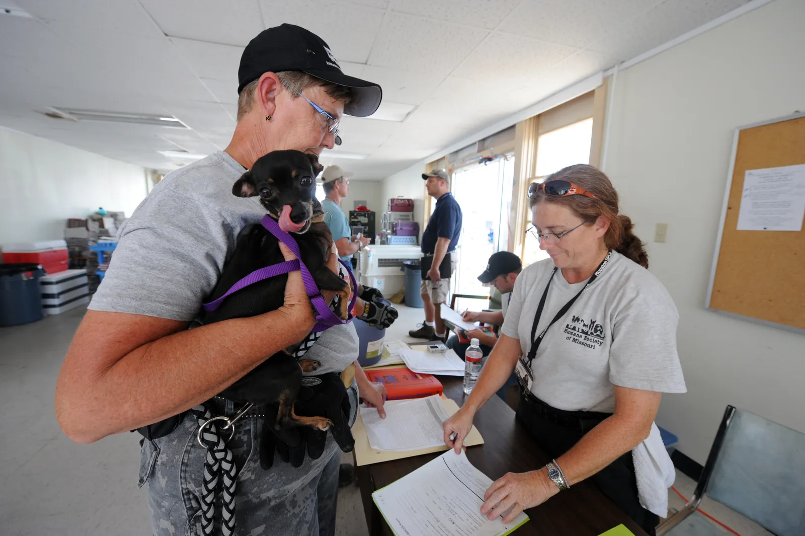 #11 - The Dog You Meet at the Shelter Is Not the Dog You’ll Have at Home (This image is from the FEMA Photo Library (obsolete as of 2019).An archived copy may be found at the Wayback Machine (note: link may be permanently dead, as not all photos were backed up in this way).If the FEMA link is permanently dead, the photo can be found at NARA Access to Archival Databases (only works if photo was taken between 1989 and October 2004), or at City-data.com., Public domain)