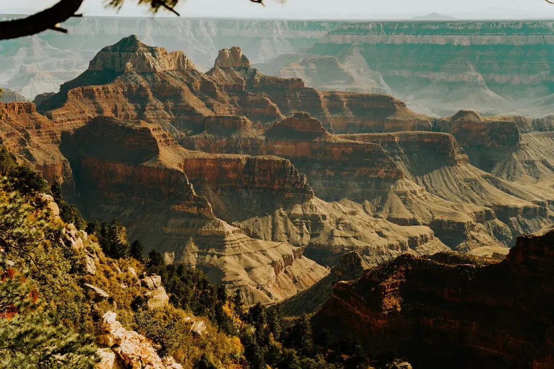 Grand Canyon: The Undisputed Champion (Image Credits: Unsplash)
