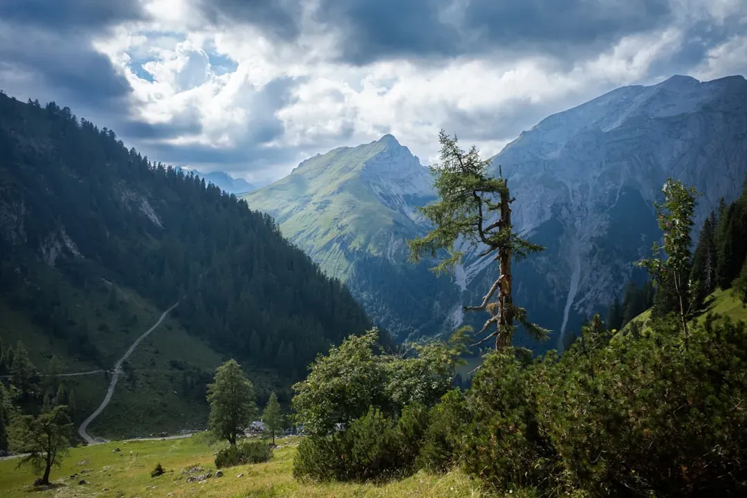 Restoration Efforts Taking Root (Image Credits: Unsplash)