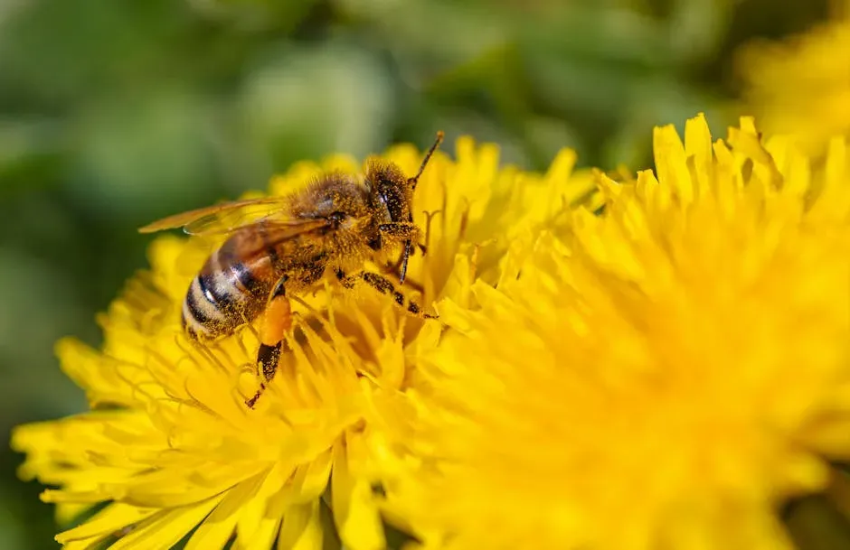 Plant Native Flowers and Watch the Magic Happen (Image Credits: Pexels)