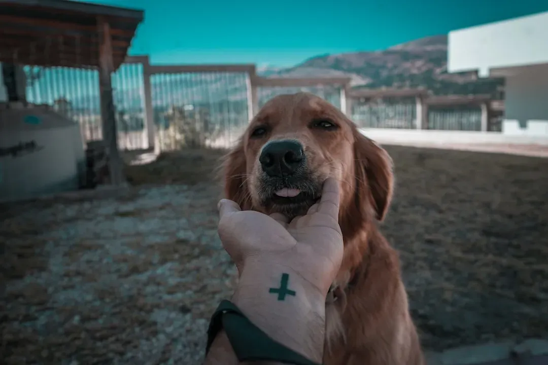 Supporting Healthcare Workers (Image Credits: Unsplash)