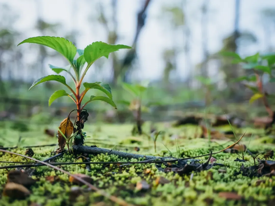 5. Rapid Recovery of Damaged Ecosystems (Image Credits: Unsplash)