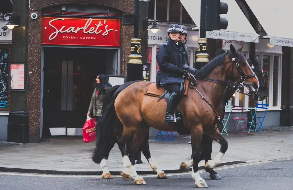 #1 - Buying the "Pretty" Horse Instead of the Right Horse (Image Credits: Pexels)