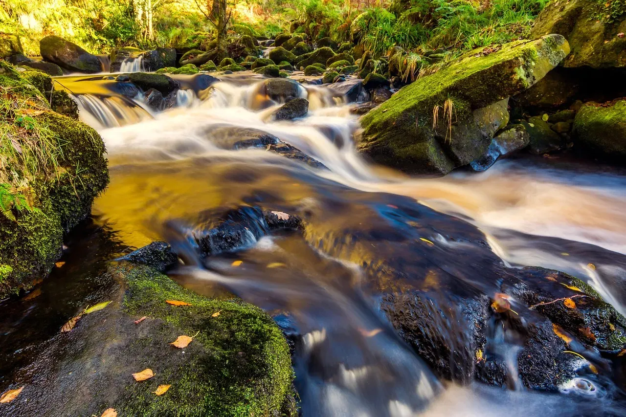 Even Children Aren't Spared By The Strid (Image Credits: Pixabay)