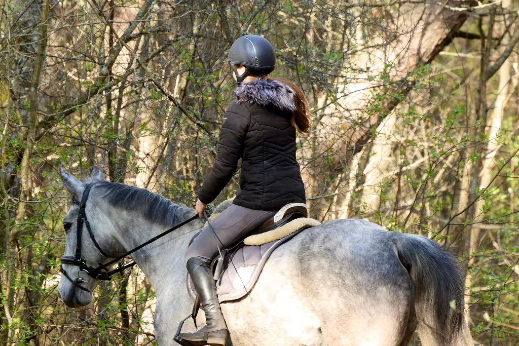 Sagittarius: The Adventurous Spirit Seeking Freedom (Image Credits: Flickr)