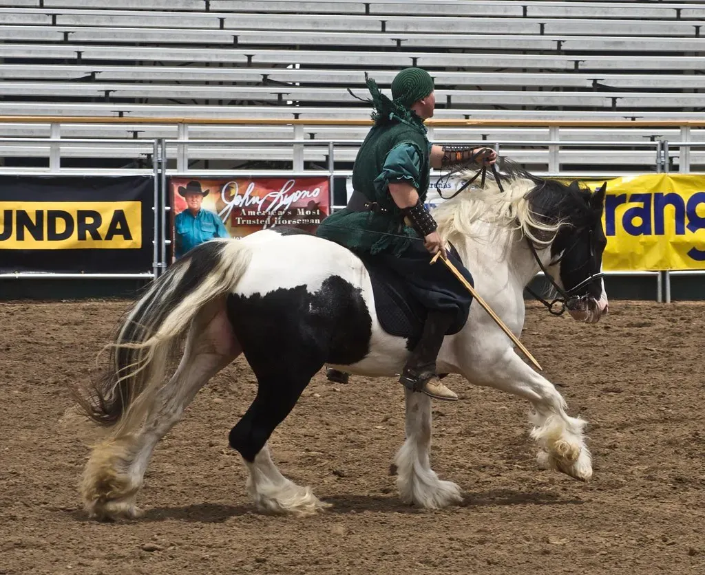 #7 - Gypsy Vanner: The Gentle Giant That Picks Its Person (Just chaos, Flickr, CC BY 2.0)