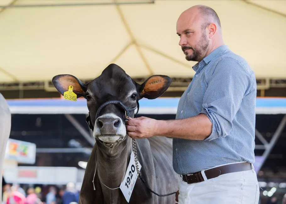 #3: Cows - The Gentle Giants That Pick a Favorite (Image Credits: Pexels)