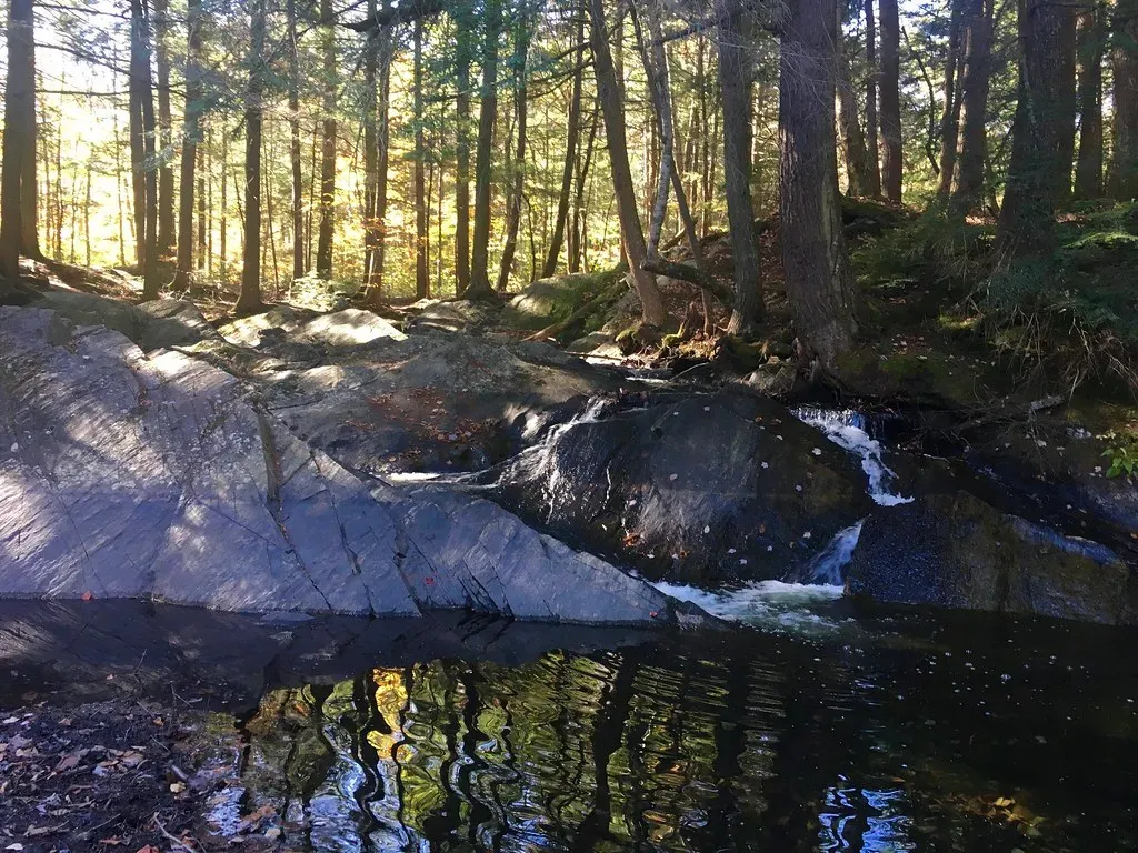Vermont: Small State, Big Conservation Heart (Image Credits: Flickr)