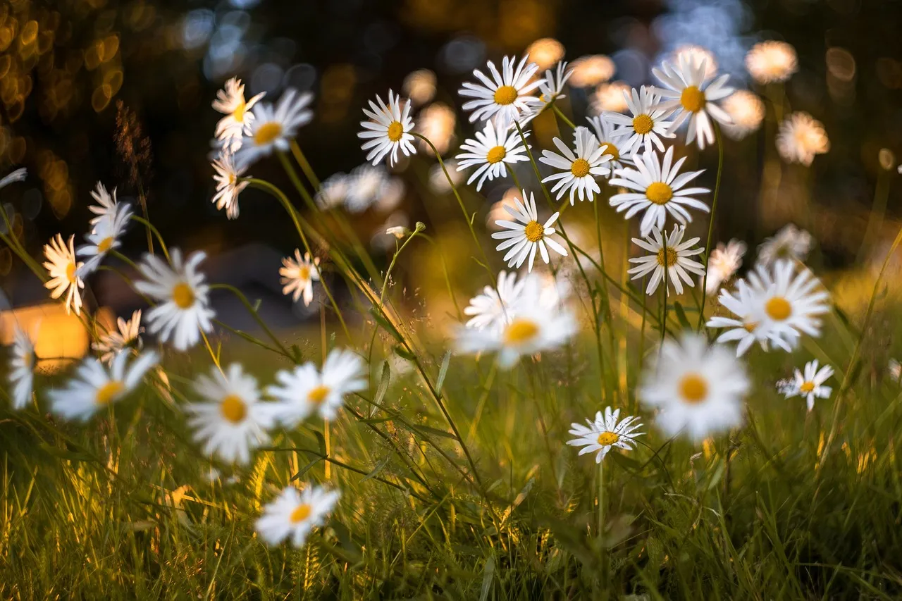 #14 - The Real Payoff Was Never Just the Harvest (Image Credits: Pixabay)