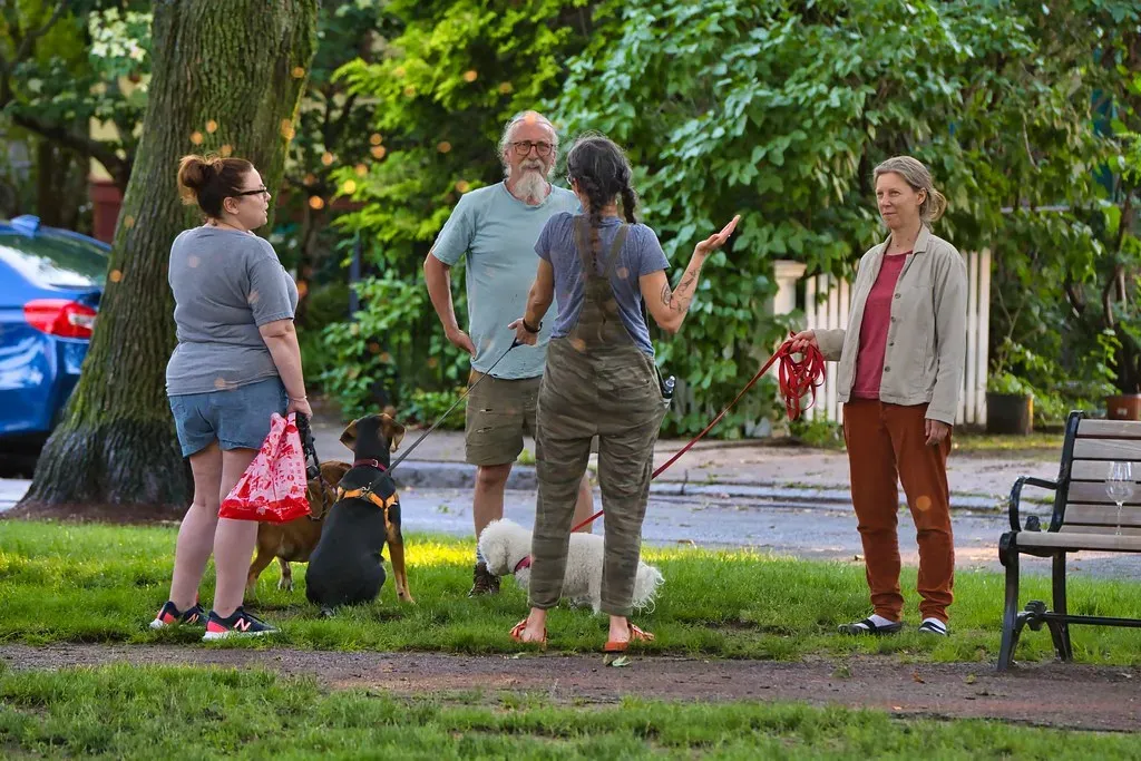 They Facilitate Social Connection and Reduce Isolation (Image Credits: Flickr)