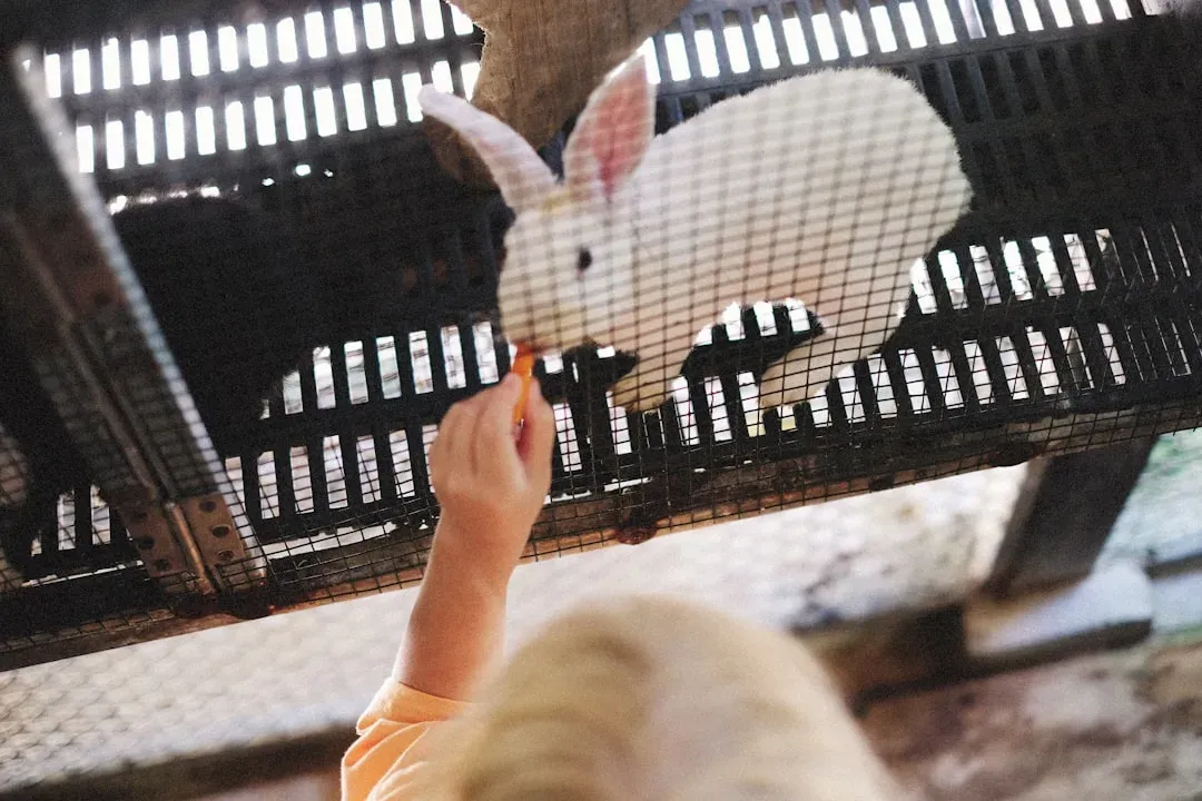 Aquarius: The Innovative Reformer Changing Animal Welfare (Image Credits: Unsplash)