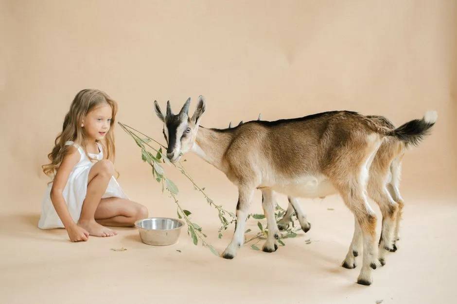 Goat Intelligence In Everyday Life: Not Just Lab Tricks (Image Credits: Pexels)