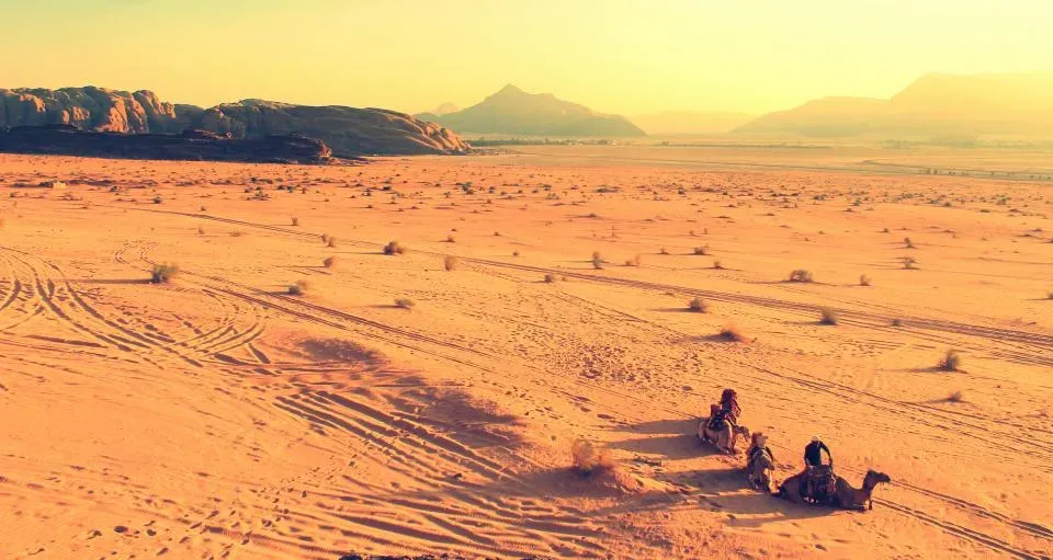 Conclusion: The Desert Always Wins, Eventually (Image Credits: Stocksnap)