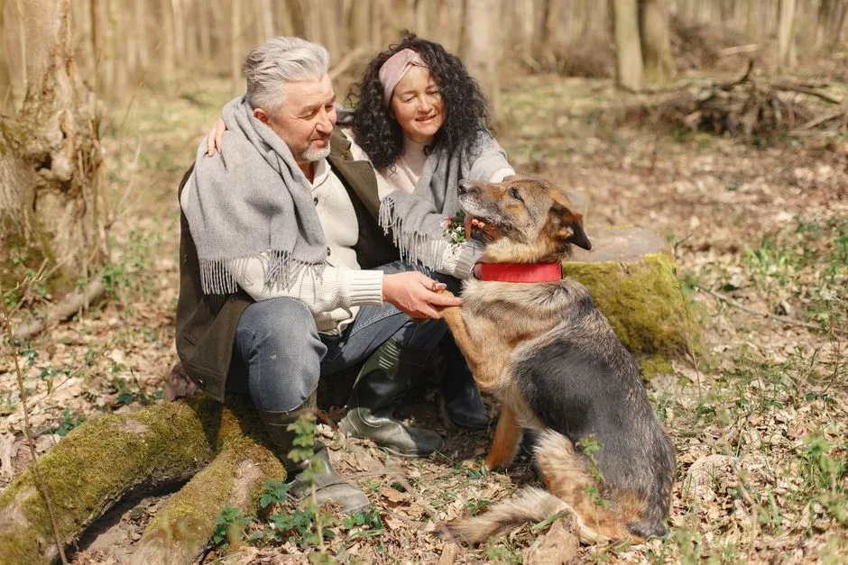#16 - Autumn Might Be the Season Your Dog Quietly Asks for a Slower Life (Image Credits: Pexels)