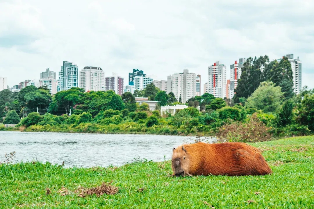 The City as an Evolutionary Pressure Cooker (Image Credits: Unsplash)