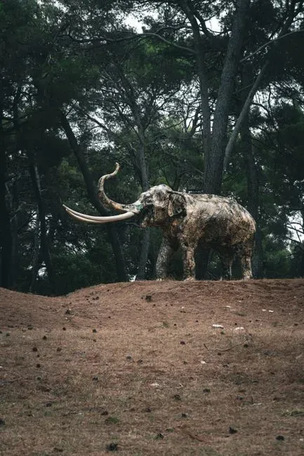 The American Mastodon (Image Credits: Pexels)