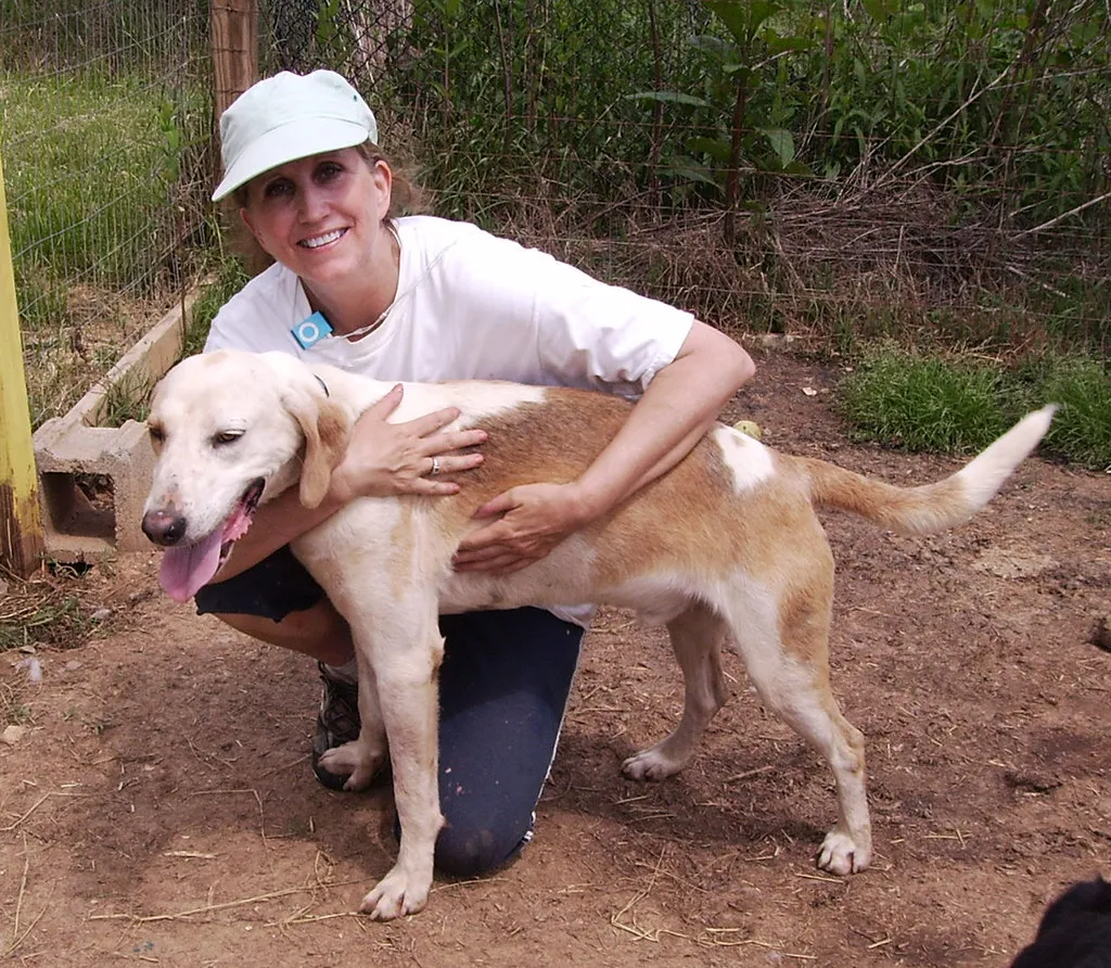 Conclusion: Downsizing as a Dog-Led Upgrade (rikkis_refuge, Flickr, CC BY 2.0)