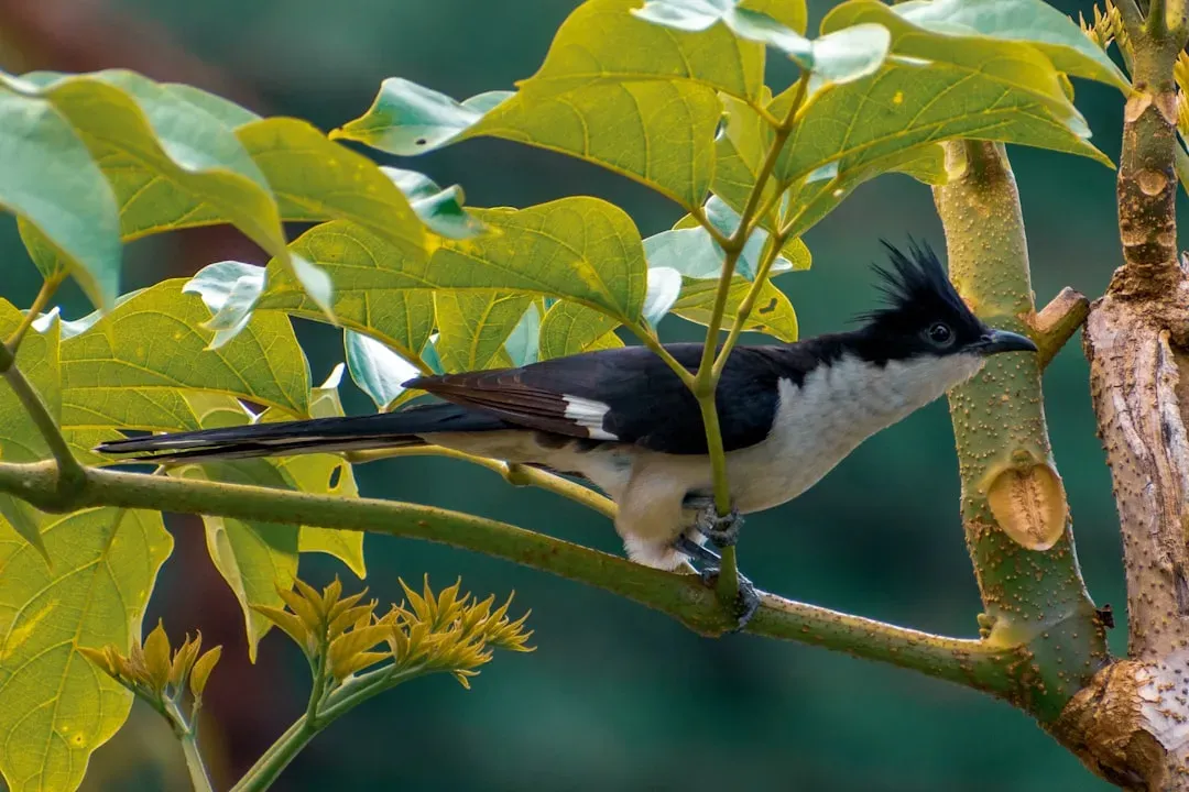 5. Some Birds Are Genuinely Poisonous (Image Credits: Unsplash)
