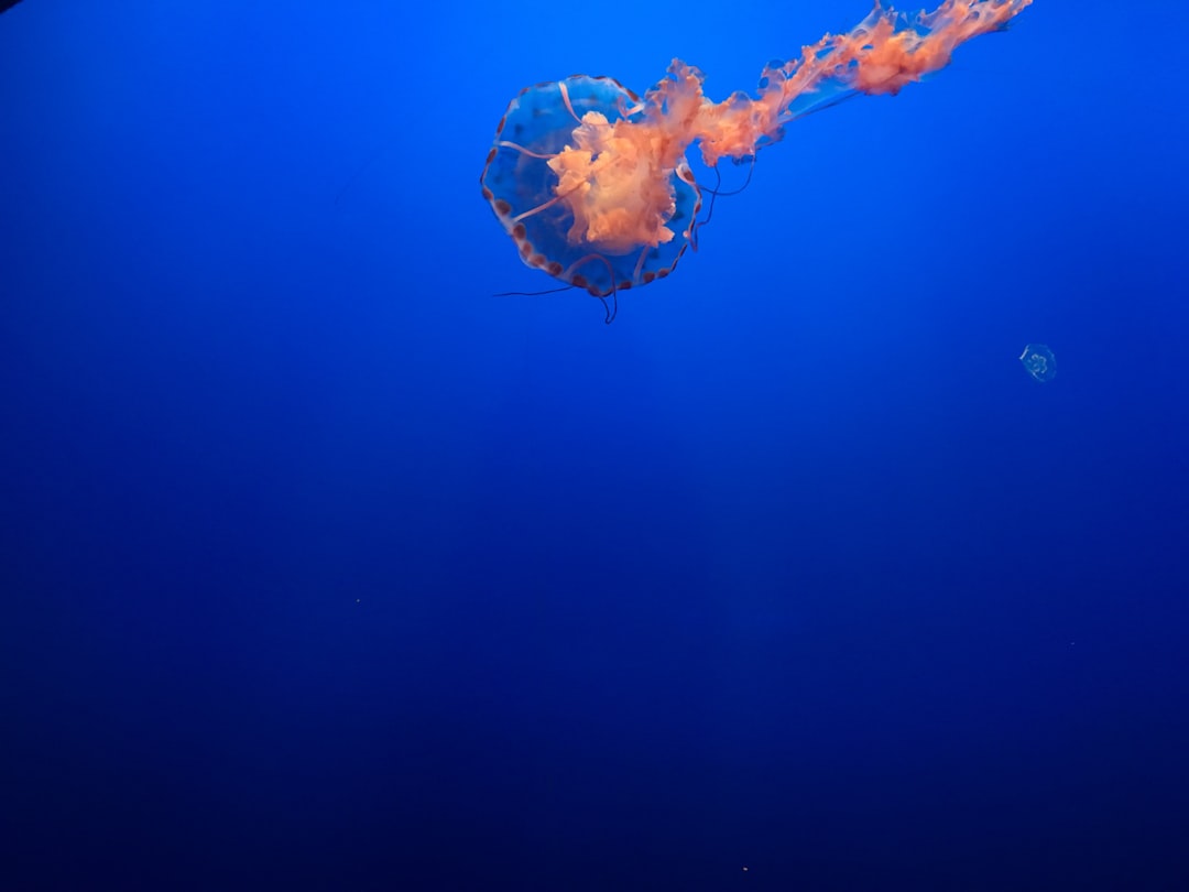 The Volcanic Inferno Beneath the Waves (Image Credits: Unsplash)