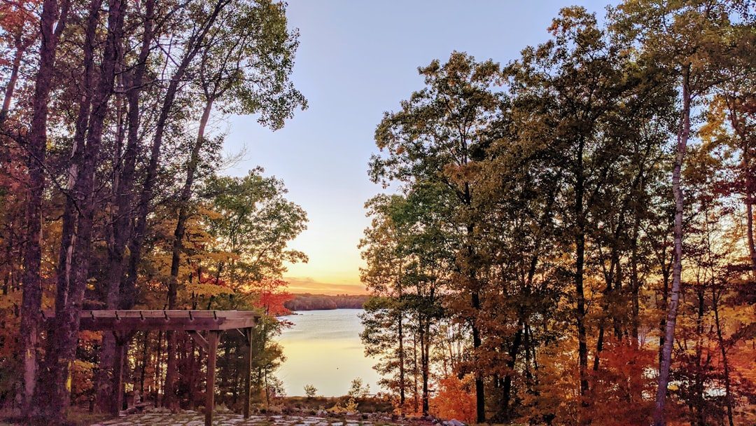 Traverse City, Michigan (Image Credits: Unsplash)