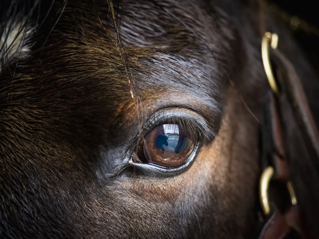 #10 - Subtle Eye Changes That Aren't "Just Getting Pretty" (Image Credits: Unsplash)