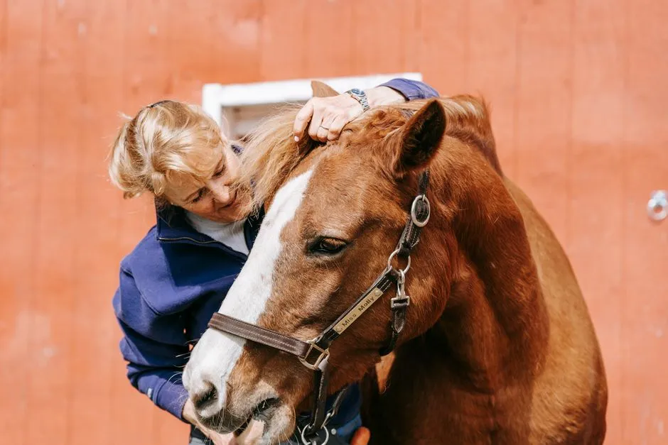 #12 - They Ignore Treats to Stay Near You (Image Credits: Pexels)