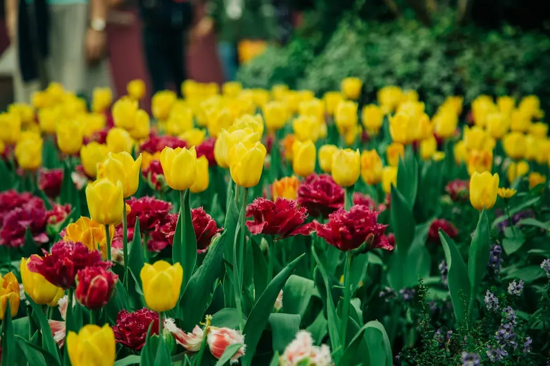 Step 3: Stagger Your Blooms Throughout the Season (Image Credits: Unsplash)