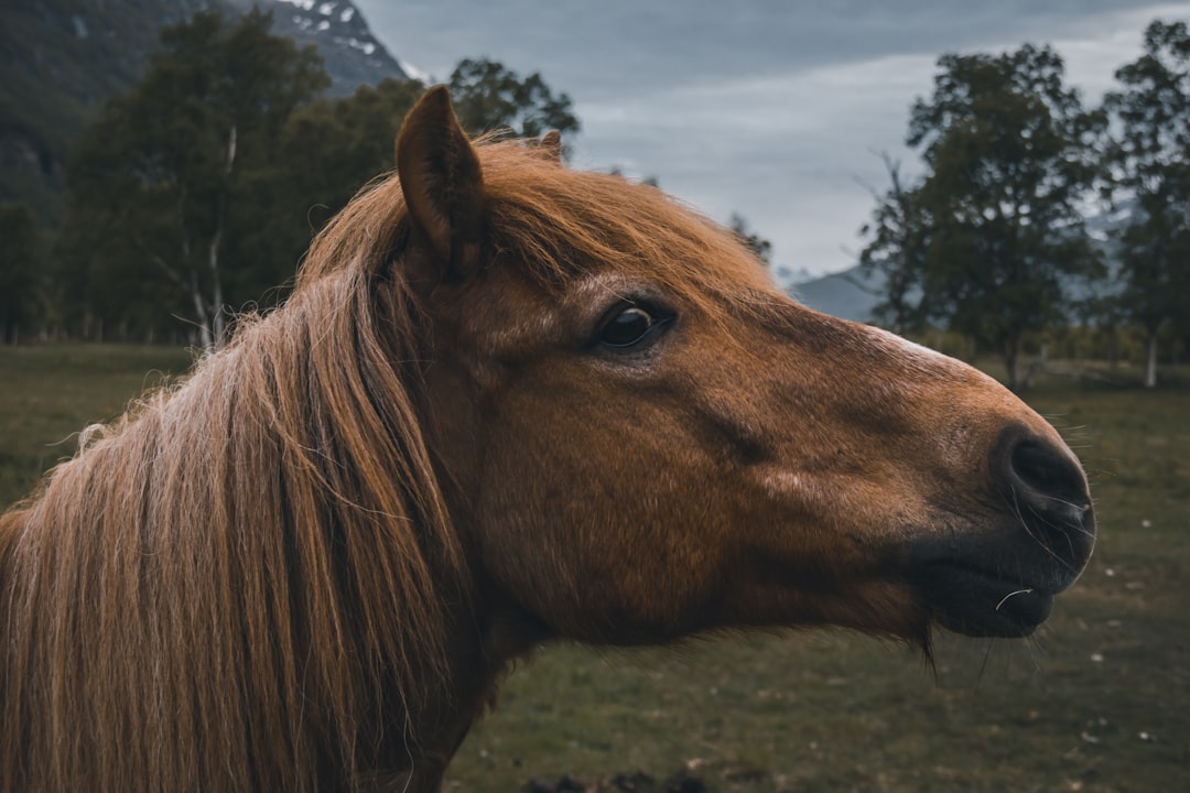 Their Teeth Can Exert 500 Pounds of Crushing Force (Image Credits: Unsplash)