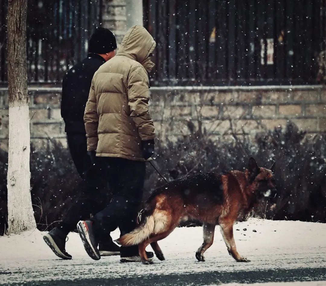 They Help You Connect With Other People (Image Credits: Unsplash)