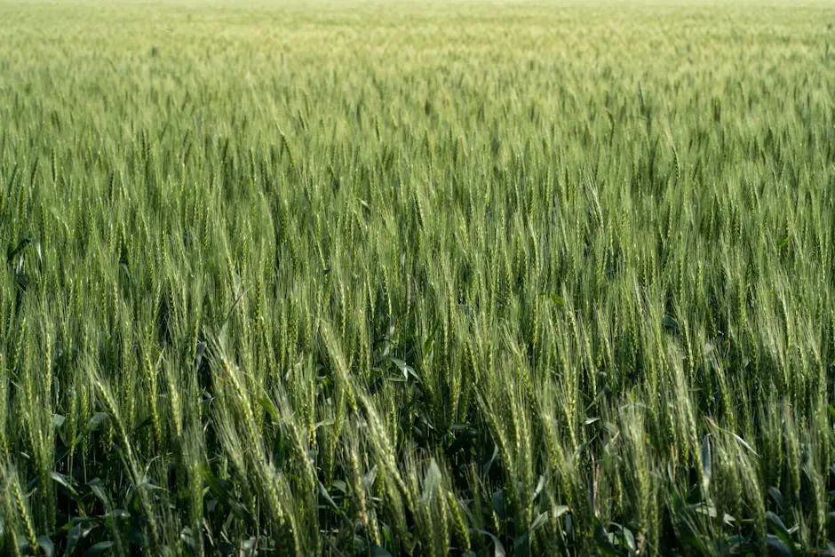 #3 Maintaining a Perfectly Manicured Monoculture Lawn (Image Credits: Pexels)