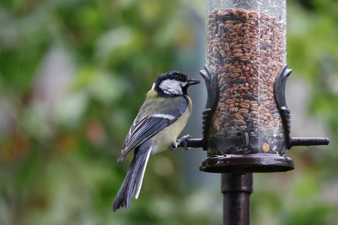 #2 - They Start Feeding Closer to You Instead of Farther Away (Image Credits: Unsplash)